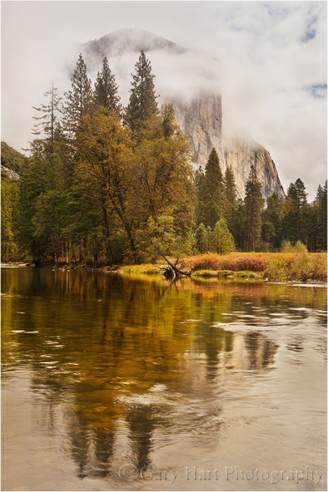 In this image I split the frame 50/50, but dialed down the reflection with my polarizer. Even polarized, the bright sky’s glare washed out much of the river surface, painting the outline of El Capitan like a negative that uses the trees with a jigsaw of submerged river rocks.