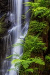 Gary Hart Photography: Fern Cascade, Russian Gulch Fall, Russian Gulch State Park (Mendocino), California