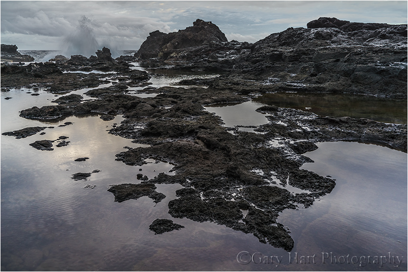 Gary Hart Photography