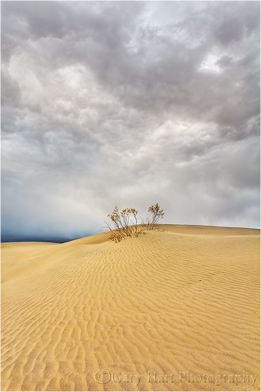 Incoming Storm, Mesquite Flat Dunes, Death Valley