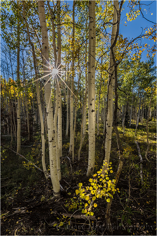 Autumn Light, North Rim, Grand Canyon