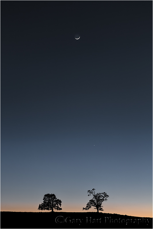 California Sunset, Sierra Foothills