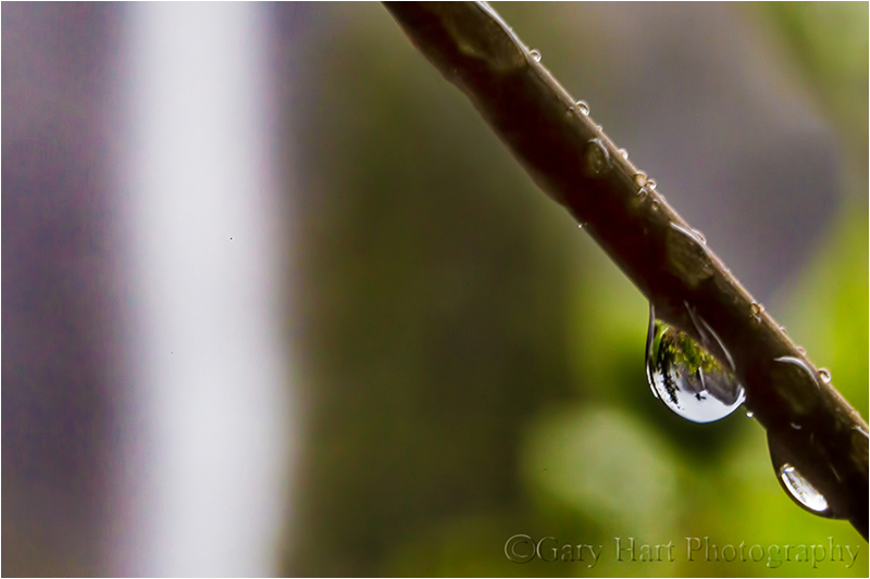 Raindrop, Bridalveil Fall, Yosemite Canon EOS 5D Mark III 1/30 second 100 mm ISO 1600 F22
