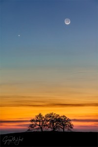 Gary Hart Photography: Heaven and Earth, New Moon and Venus, Sierra Foothills