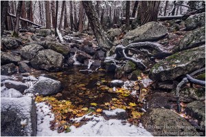Gary Hart Photography: Secret Pool, Bridalveil Creek, Yosemite