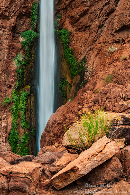Gary Hart Photography: Nature's Garden, Deer Creek Fall, Grand Canyon