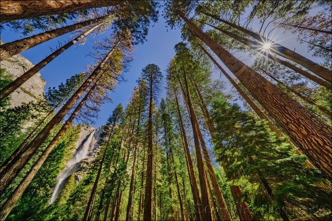 Gary Hart Photography: Yosemite Falls Sunstar, Yosemite