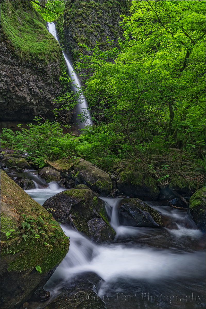 Gary Hart Photography: Downstream, Upper Horsetail Fall, Columbia River Gorge
