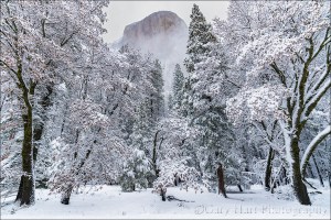 Gary Hart Photography: Gray and White, El Capitan Through the Clouds, Yosemite