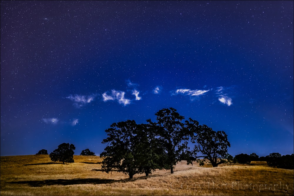 Gary Hart Photography: Moonlight, Sierra Foothills, California