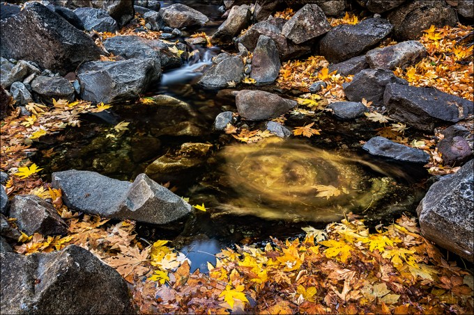 Gary Hart Photography: Color Wheel, Bridalveil Creek, Yosemite