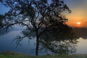 Gary Hart Photography: Sunrise, Lake Natoma, Folsom
