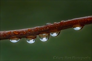 Gary Hart Photography: Yosemite in a Raindrop, Valley View, Yosemite