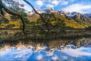 Gary Hart Photography: Reflection, Mirror Lakes, New Zealand