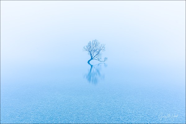 Gary Hart Photography: Gray Dawn, Lake Wanaka, New Zealand
