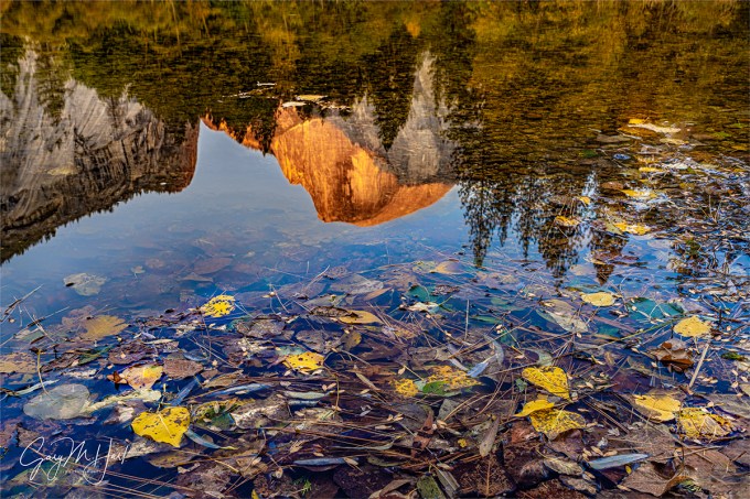 Gary Hart Photography: Autumn Accent, Half Dome, Yosemite