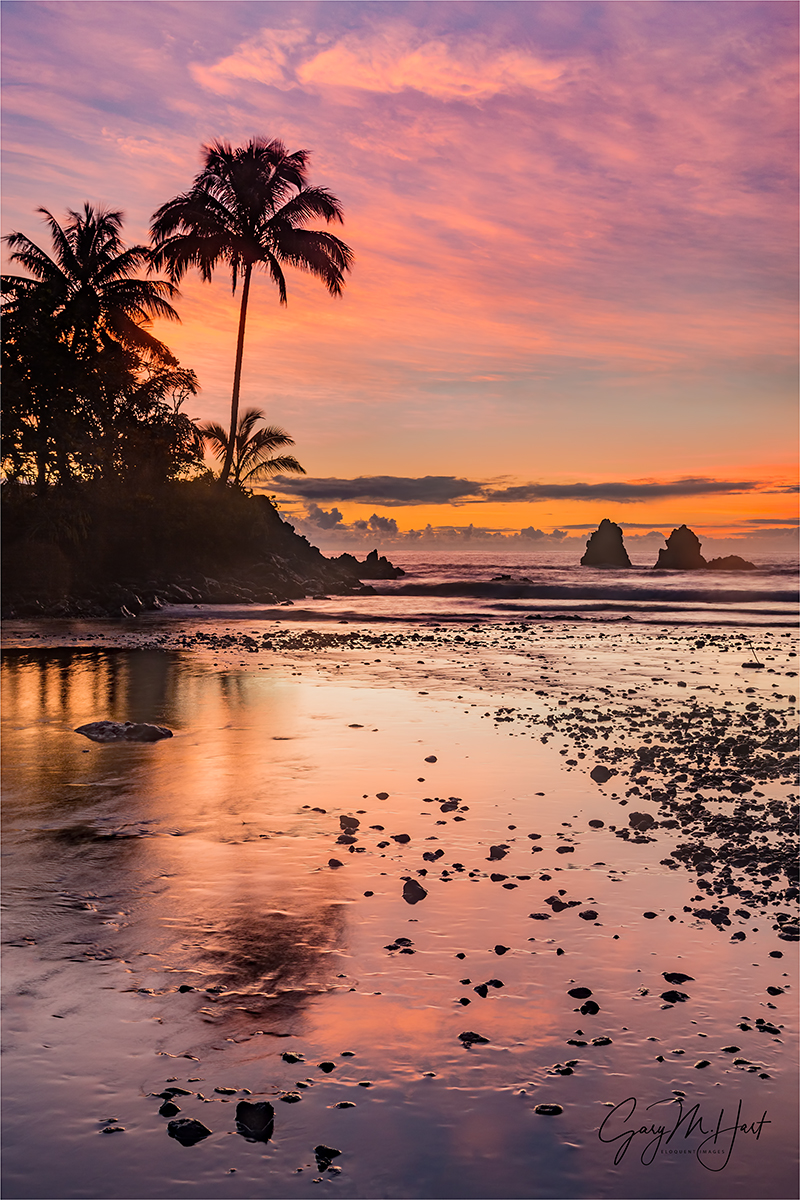 Gary Hart Photography: Tropical Sunrise, Hawaii Big Island