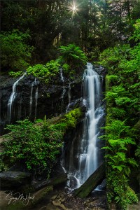Gary Hart Photography: Deep Forest Cascade, Russian Gulch Fall, Mendocino Coast