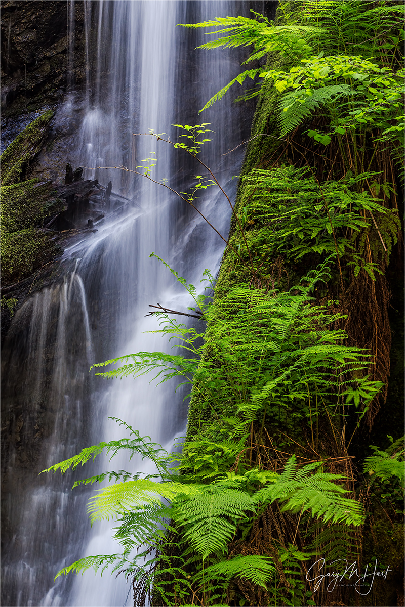 Gary Hart Photography: Fern Cascade, Russian Gulch Fall, Russian Gulch State Park (Mendocino), California