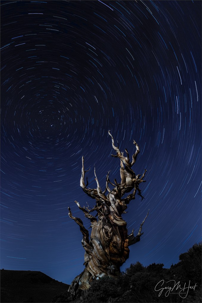 Gary Hart Photography: Bristlecone Carousel, Schulman Grove, California