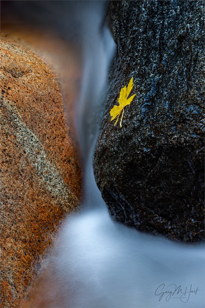 Gary Hart Photography: Autumn Yin and Yang, Bridalveil Creek, Yosemite