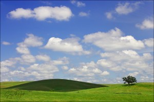 Gary Hart Photography: Spring in the Foothills, Sierra Foothills, California