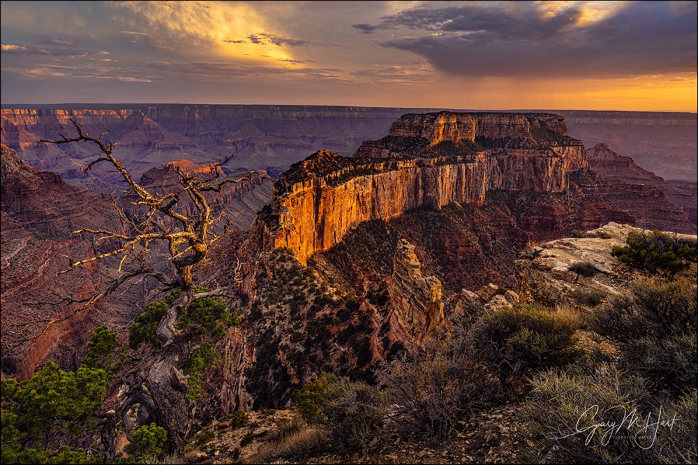 Gary Hart Photography: Last Light, Wotan’s Throne, Cape Royal, Grand Canyon