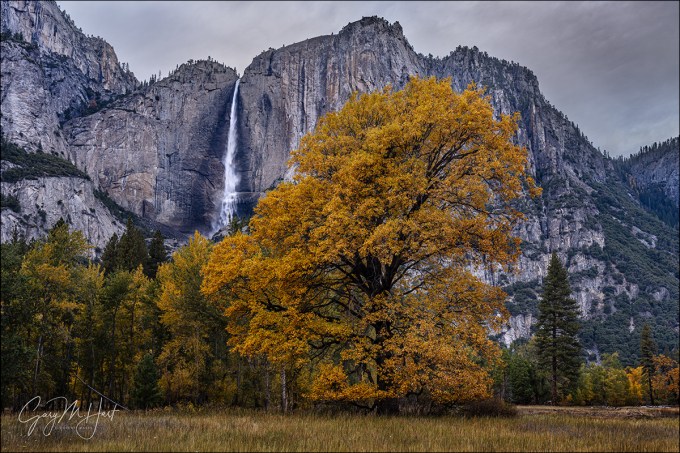 Gary Hart Photography: Autumn Surprise, Upper Yosemite Fall, Yosemite