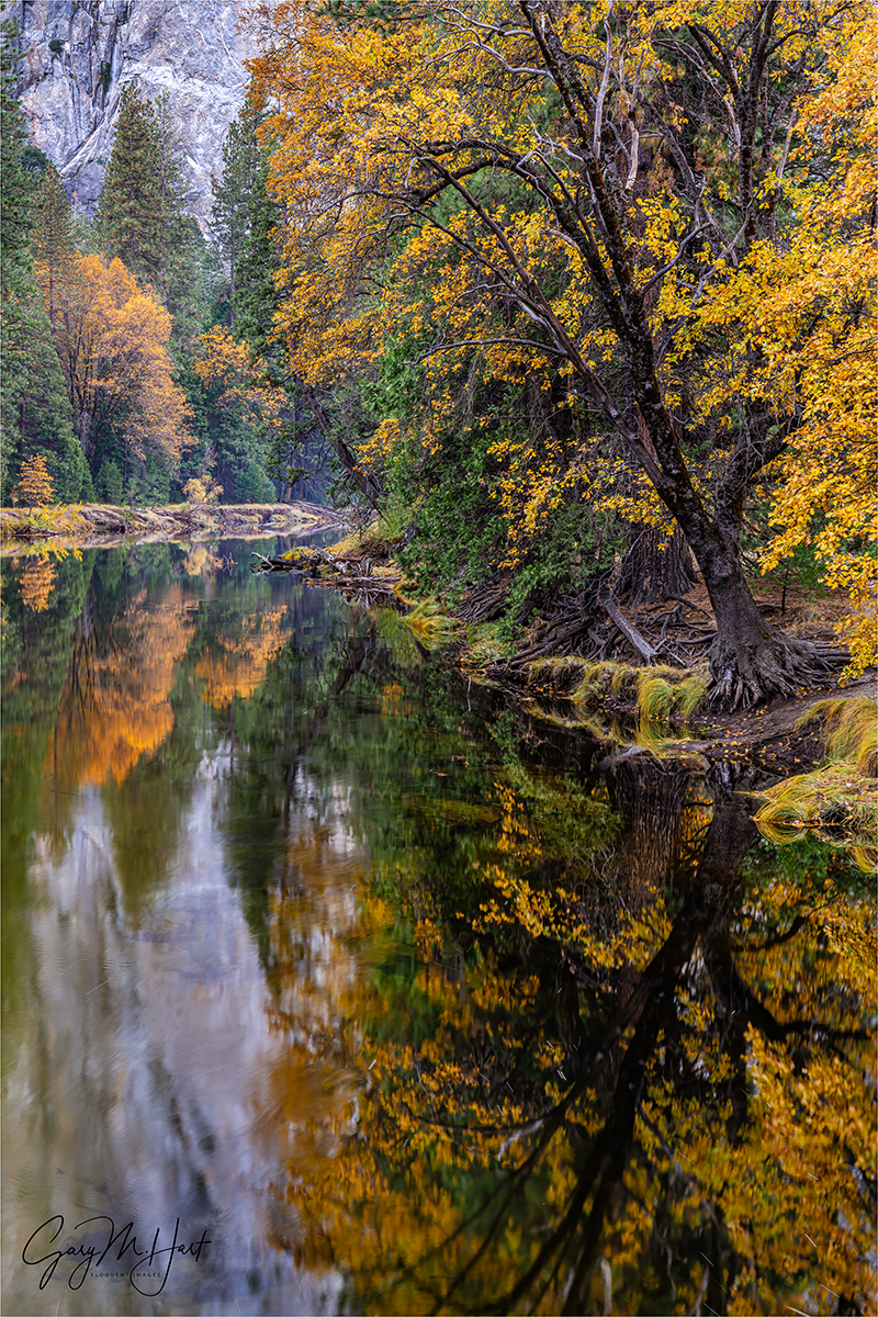 Gary Hart Photography: Autumn Reflection, Cathedral Rocks, Yosemite