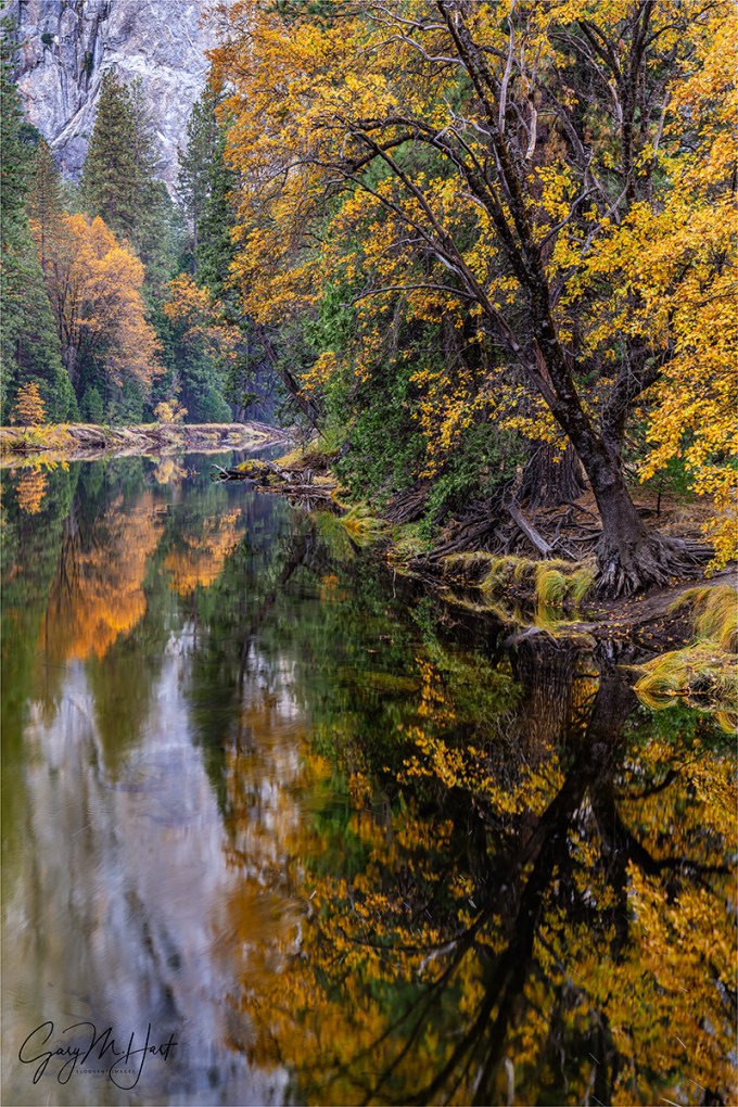 Gary Hart Photography: Autumn Reflection, Cathedral Rocks, Yosemite