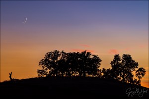 Gary Hart Photography: Sunset Pastoral, Sierra Foothills
