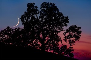 Gary Hart Photography: Crescent at Sunset, Sierra Foothills, California
