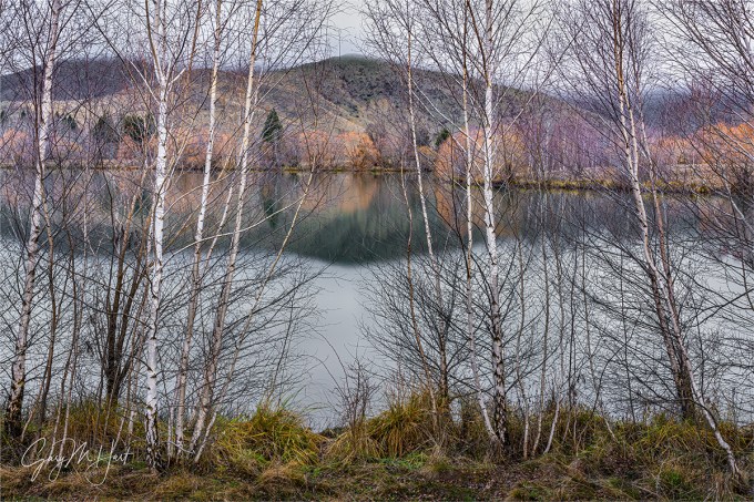 Gary Hart Photography: Trees and Reflection, Wairepo Arm, New Zealand