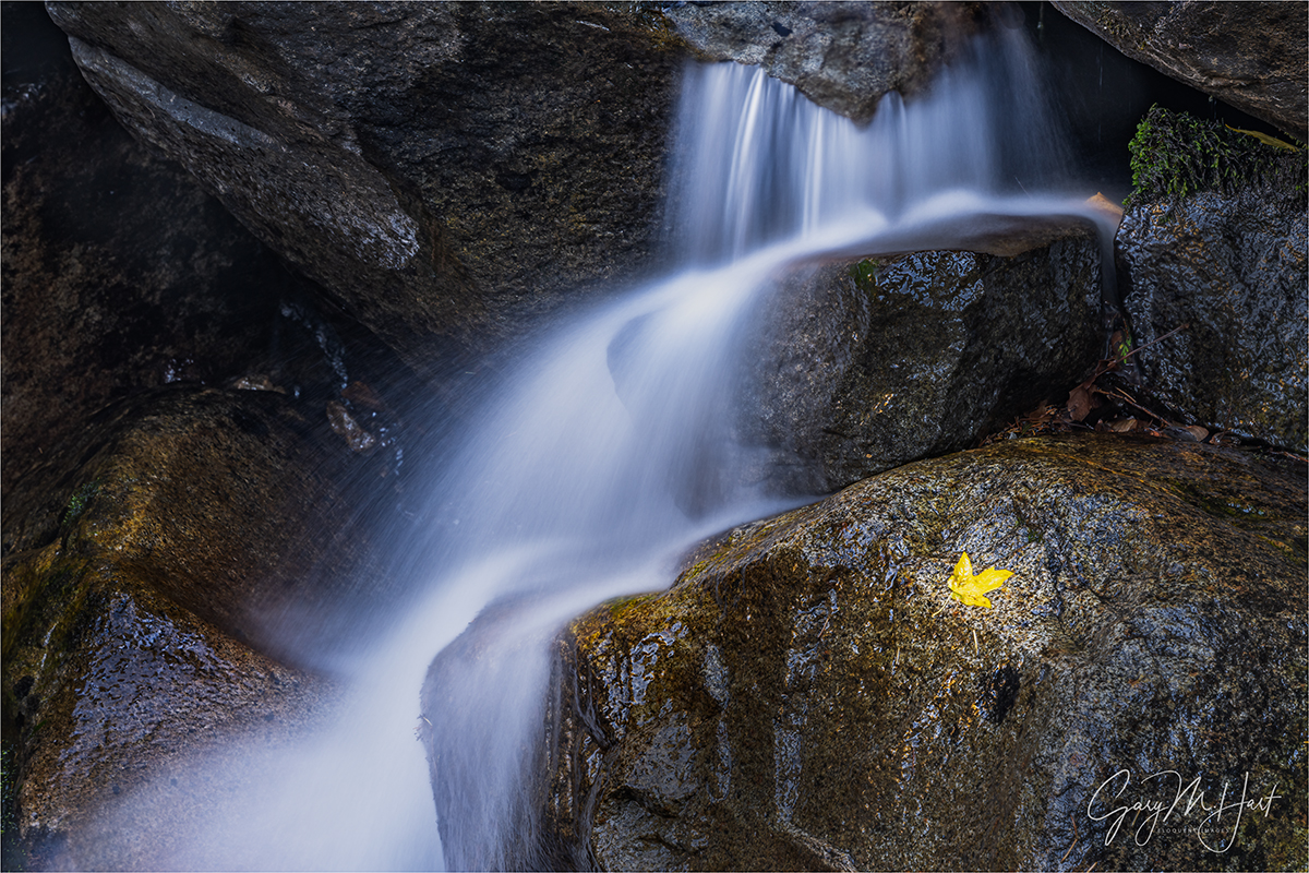 Gary Hart Photography: Autumn Leaf and Cascade, Bridalveil Creek, Yosemite