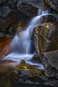 Gary Hart Photography: Autumn Leaves and Cascade, Bridalveil Creek, Yosemite