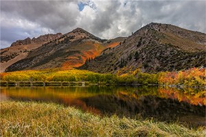 Gary Hart Photography: Lakeshore Autumn Aspen, North Lake Reflection, Eastern Sierra (California)