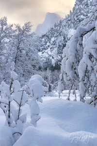 Winter Morning, Half Dome and Merced River, Leidig Meadow, Yosemite