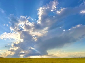 Gary Hart Photography: Diminishing Thunderhead and Canola Field, Alberta, Canada